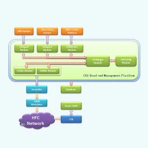 CAS9000 ko ya nthogi condicional